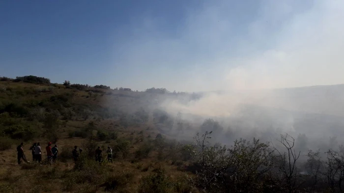 Zeci de persoane au participat la stingerea incendiului
