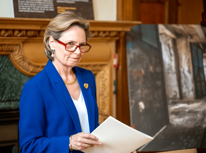 Principesa Sofia png