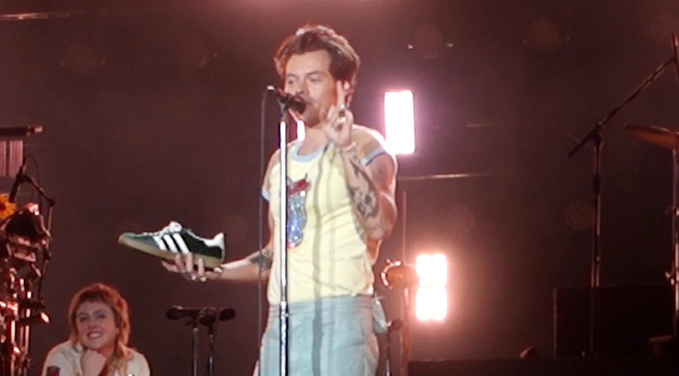 Harry Styles în concert la Perth, Profimedia (2) jpg