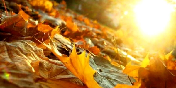 O toamnă frumoasă, cu temperaturi de vară