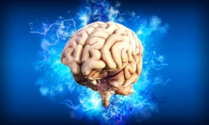 brain 4314636 1280 jpg