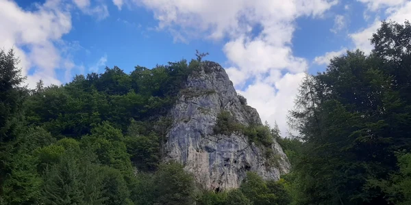 Ziua Naţională a Muntelui FOTO Ioan Buciumar