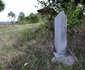 Lindenfeld, Caraș Severin Foto Daniel Guță ADEVĂRUL  (9) JPG