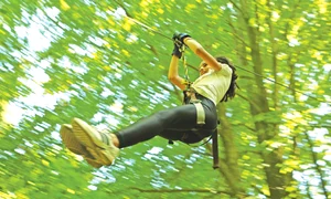 Trasee prin copaci, în Parcul Comana jpeg