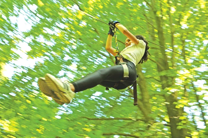 Trasee prin copaci, în Parcul Comana