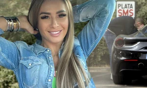 cub anamaria prodan ferrari png