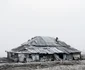 Tamas Dezso