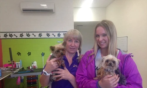 cateii lui johhny depp australia jpeg