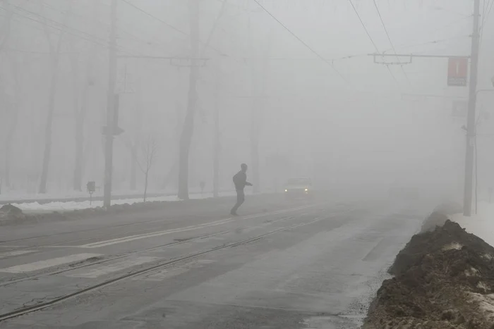 Copoul învăluit în ceaţă