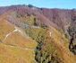 Păduri în județul Hunedoara Foto Daniel Guță ADEVĂRUL (28) JPG