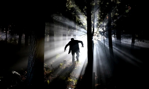 1 cauzele psihopatiei jpg jpeg