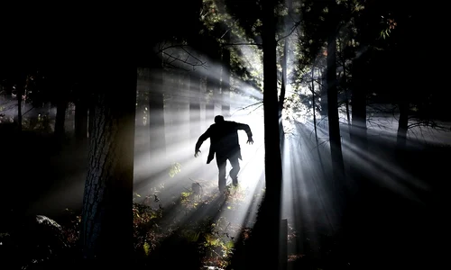 1 cauzele psihopatiei jpg jpeg