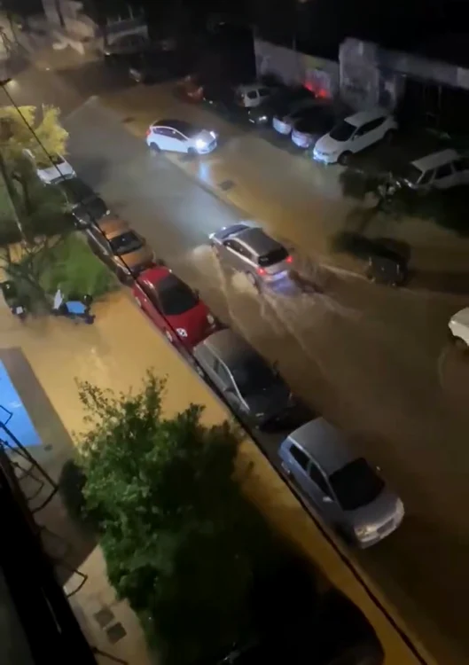 FOTO: Captură video 