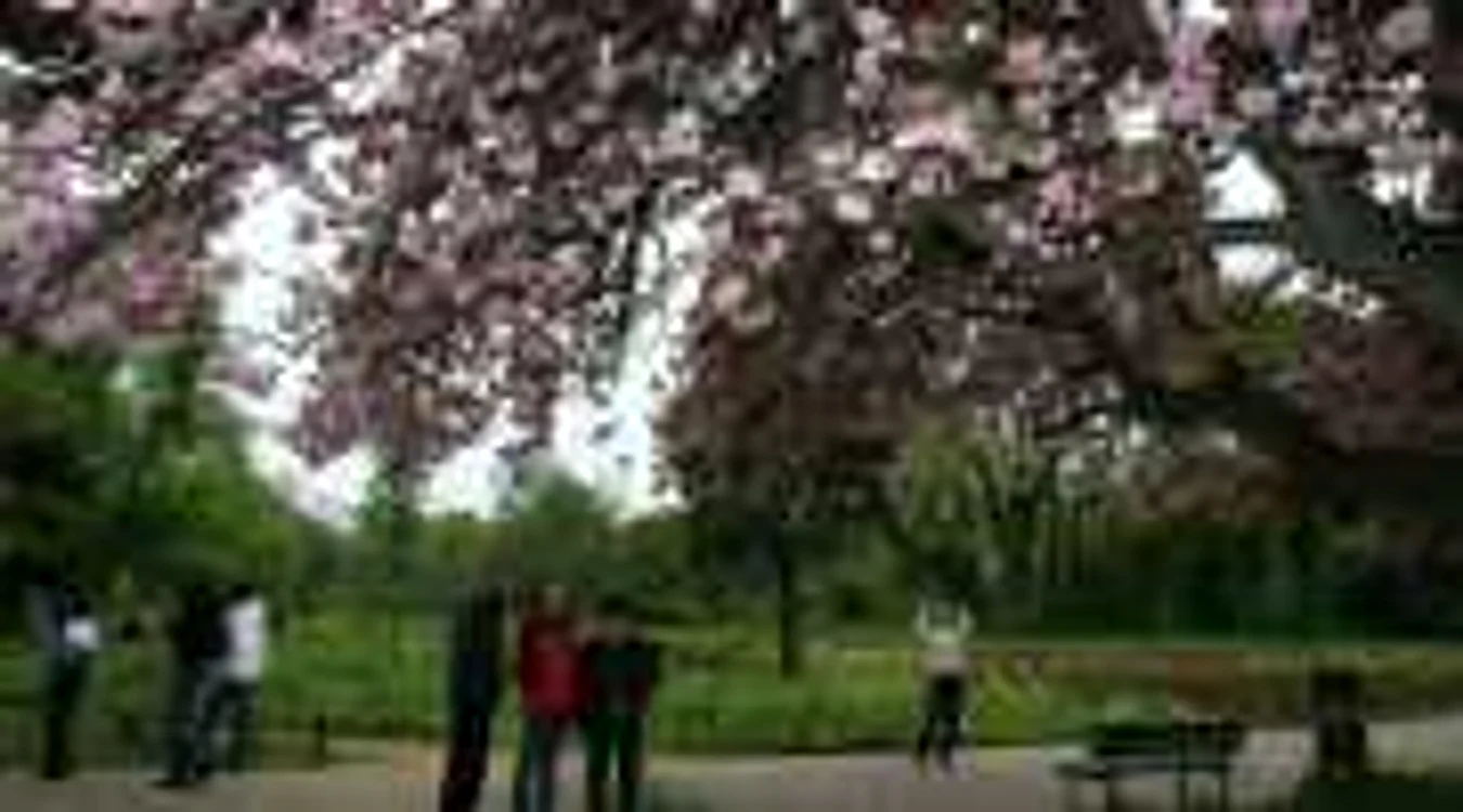 Gradina Botanica