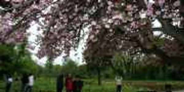 Gradina Botanica