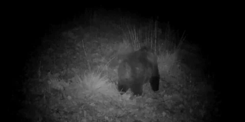 5fcaabea5163ec42718d7e2a jpg