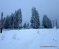 poiana rachitelii foto daniel guta adevarul