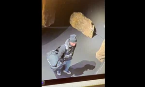 posibil autor al jafului de la muzeul din Olanda Foto Captură video jpg