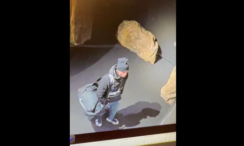 posibil autor al jafului de la muzeul din Olanda Foto Captură video jpg