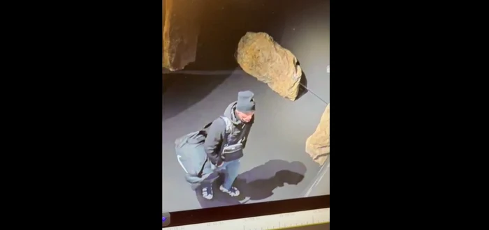 Posibil autor al jafului de la muzeul din Olanda Foto: Captură video