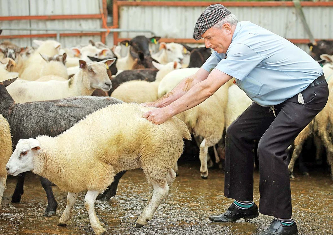 Unii mai curajoşi  şi-au umplut gura  direct de la sursă