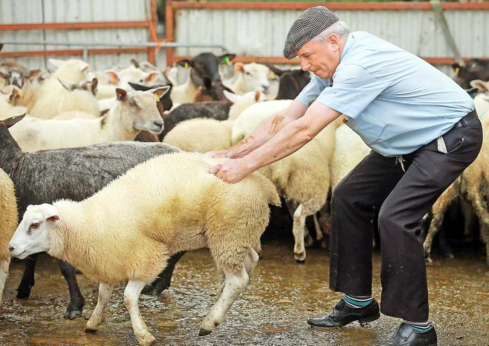 Unii mai curajoşi  şi-au umplut gura  direct de la sursă