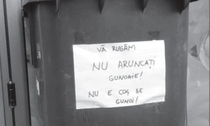Cu ochii n 3,14 jpeg