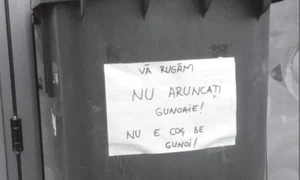 Cu ochii n 3,14 jpeg