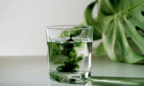 apa cu clorofila  jpg