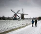 Furtuna Darcy loveşte Germania şi Olanda. FOTO Gettyimages