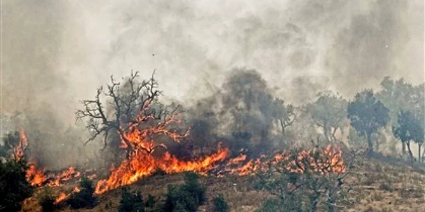 Incendiul de padure a putut fi stins dupa trei zile