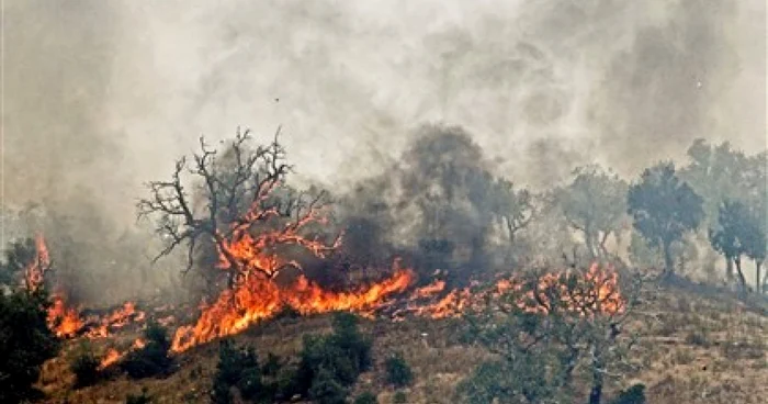 Incendiul de padure a putut fi stins dupa trei zile