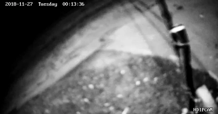 Furtul, surprins de camerele video SURSA Primăria Niculești, Ilfov