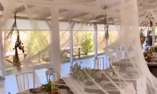 Decorul rustic șic i a încântat pe invitați jpeg