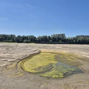 dunare secata aproape de Giurgiu3 Foto Adevarul jpeg