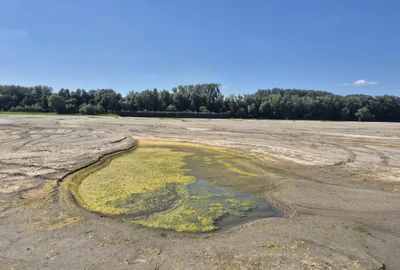 dunare secata aproape de Giurgiu3 Foto Adevarul jpeg