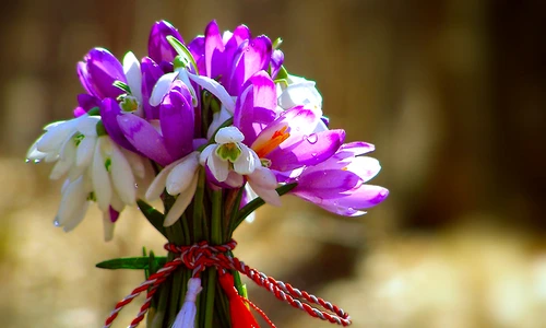 1 26685864328 7a783dc1dc c jpg jpeg