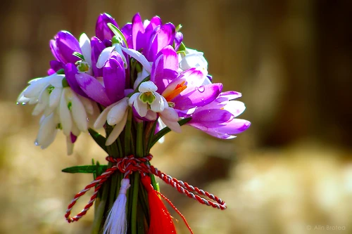 1 26685864328 7a783dc1dc c jpg jpeg