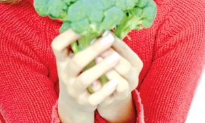 CLIIMA20111104 0065 1 jpeg