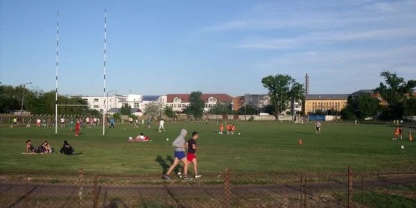 stadion ion viorel
