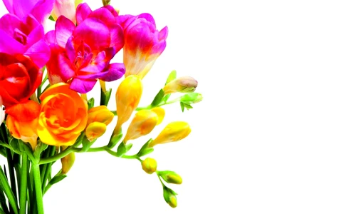 1 62322 original jpg jpeg