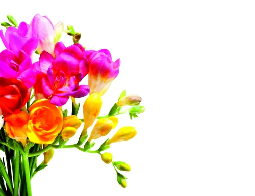 1 62322 original jpg jpeg