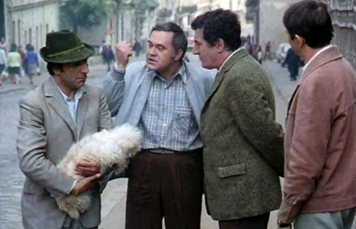 filme bd foto tvr