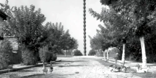 Coloana