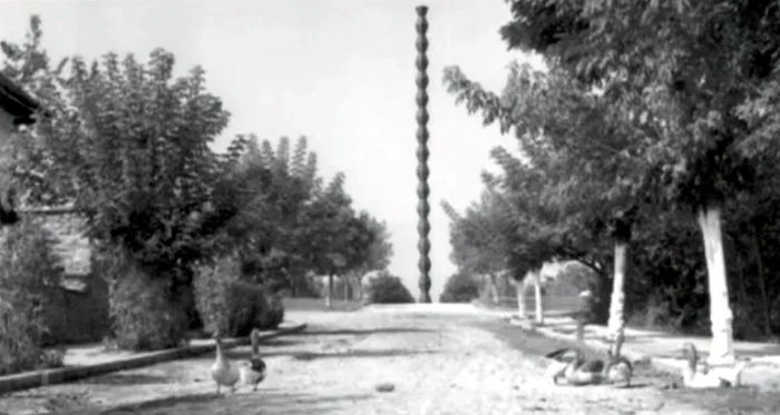 Coloana
