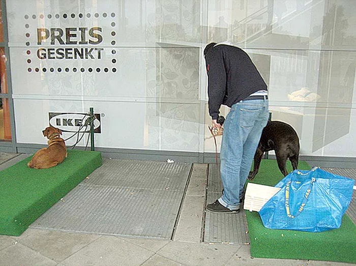 După ce şi-au făcut târguielile, stăpânii îşi iau “odraslele“ odihnite