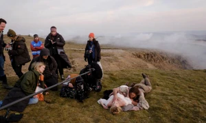 la rascruce de vanturi  jpg