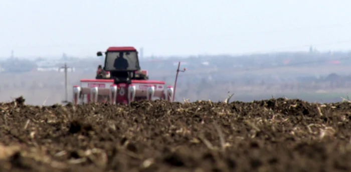 Fermierii au depuse cererile pentru obţinerea ajutorului de stat în agricultură FOTO Adevărul