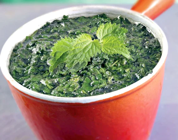 Germenii de brocoli se pot consuma în salată, smoothie, supă, suc etc. FOTO Shutterstock