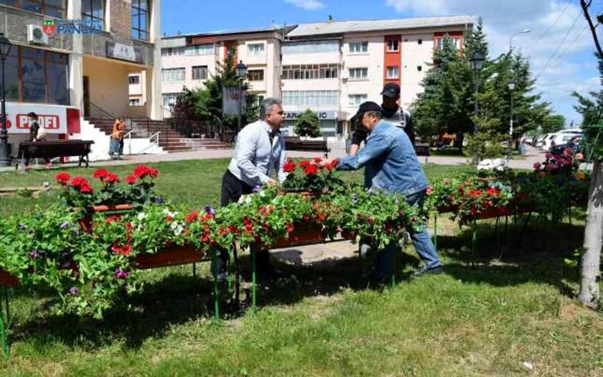 Florile au fost puse în tot oraşul  FOTO: Primăria Panciu